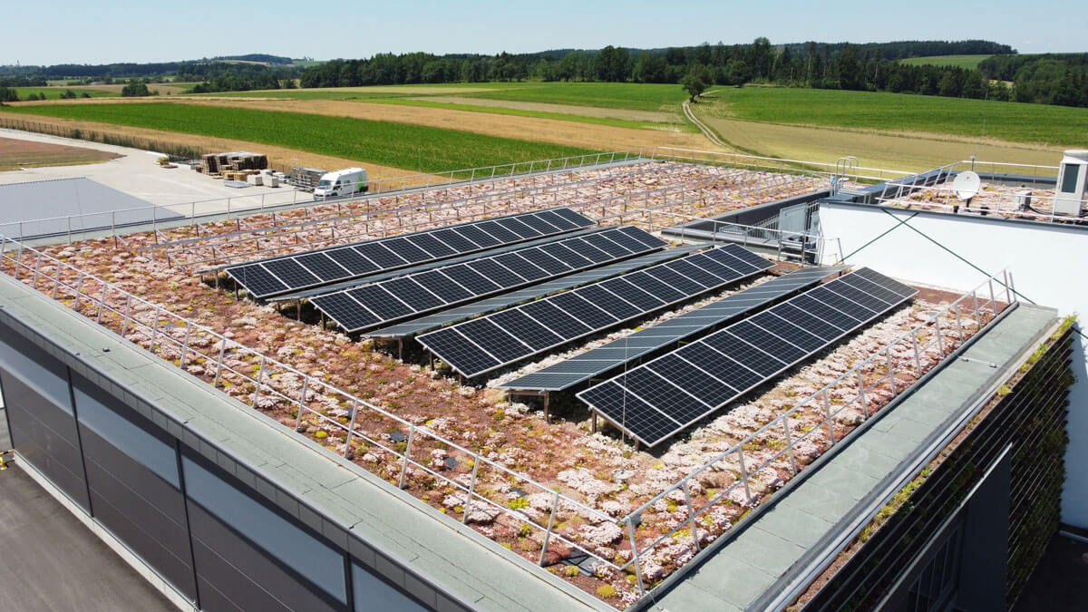 Gründach mit Photovoltaik