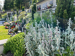 Der letzte Garten - Waldfriedhof Fulpmes im Stubaital