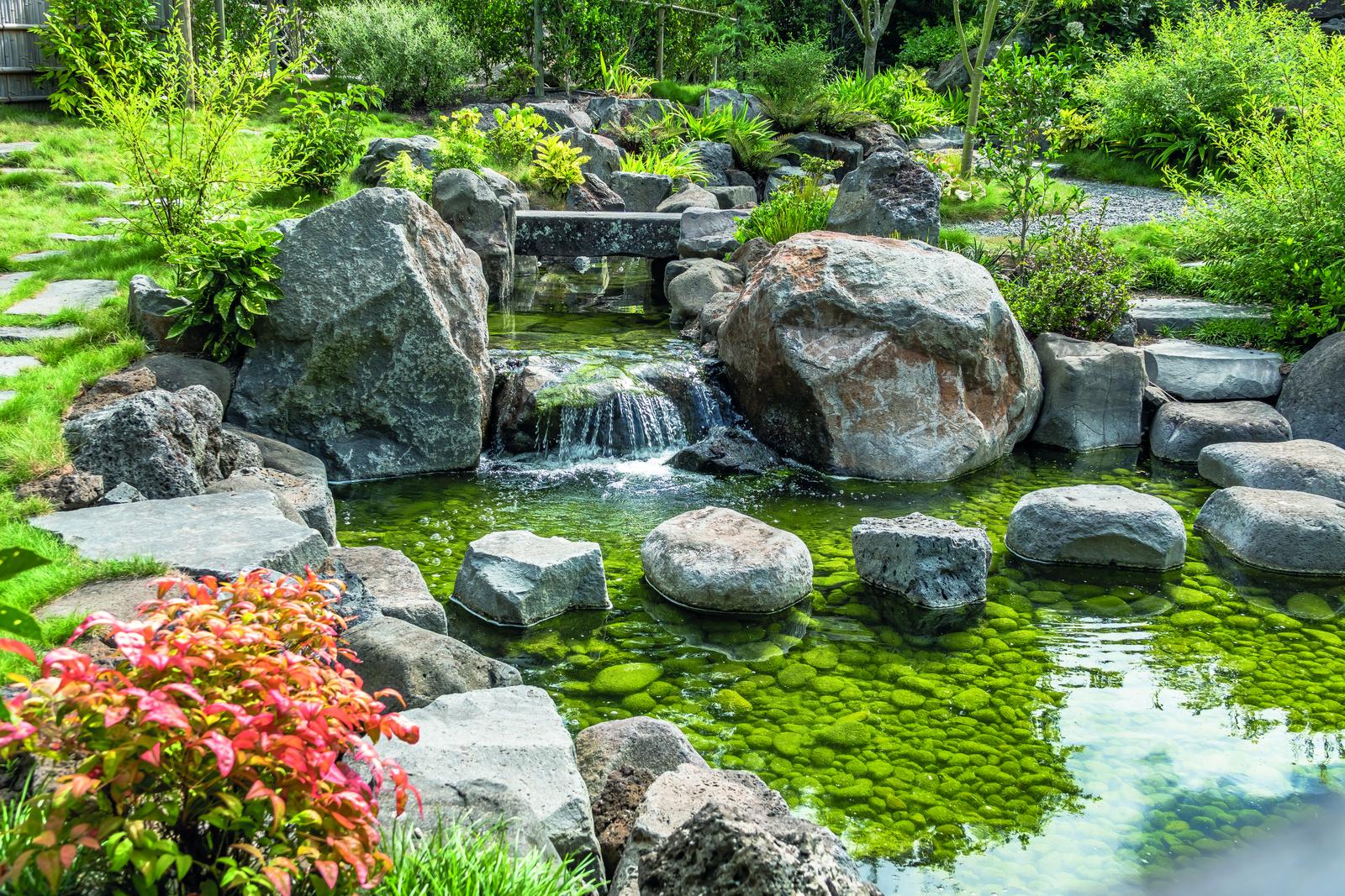 Teich mit Steinweg in einem Garten